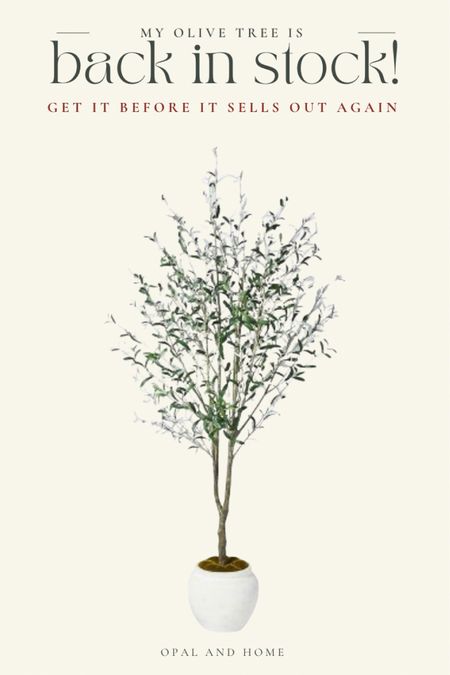 One of my most asked about items is back in stock!! This is one of the best deals out there for this size of olive tree, and it’s perfect for so many different rooms. I’ve used it in our living room, dining room, hearth room, and now it’s in my daughter’s nursery! Get it before it’s gone! 

#LTKbaby #LTKhome #LTKstyletip