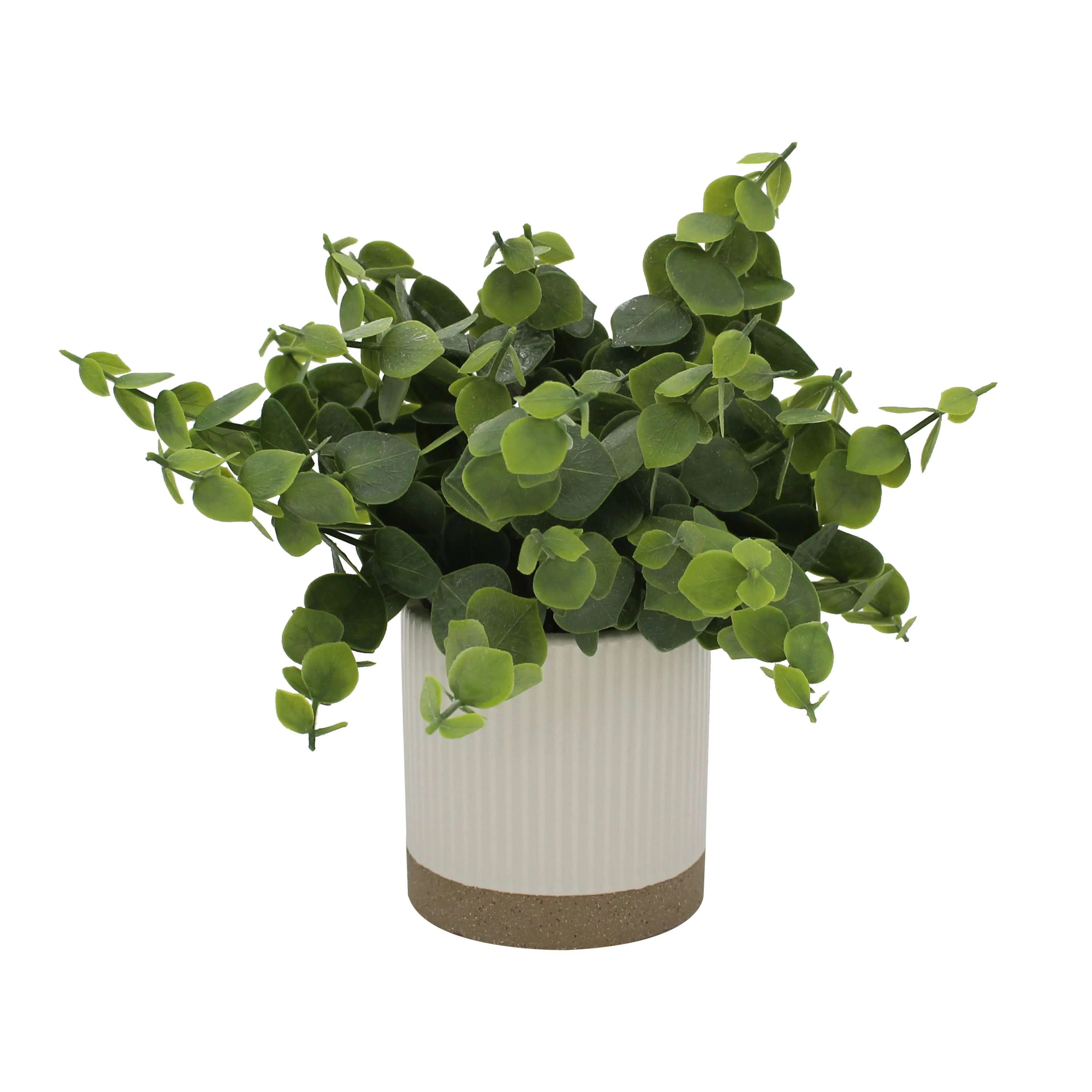 Mainstays by Becky G. & Alejandra 8" Artificial Eucalyptus in White Two-Tone Ribbed Ceramic Pot | Walmart (US)