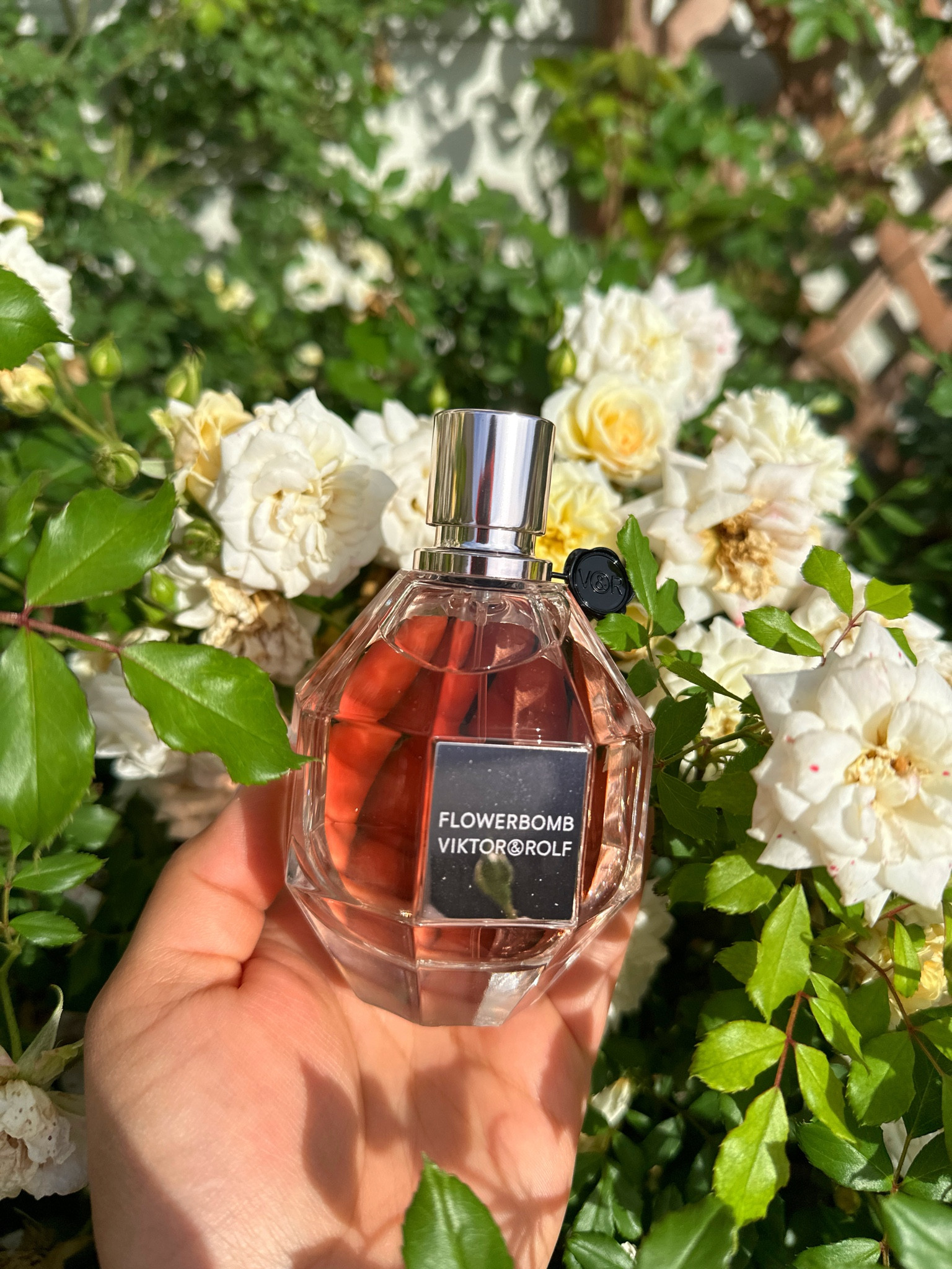 Treat your mom this Mother’s Day! Available now on @Sephora @viktorandrolf_fragrances #flowerbomb #ViktorAndRolfFragrancesPartner

#LTKFind #LTKGiftGuide #LTKbeauty