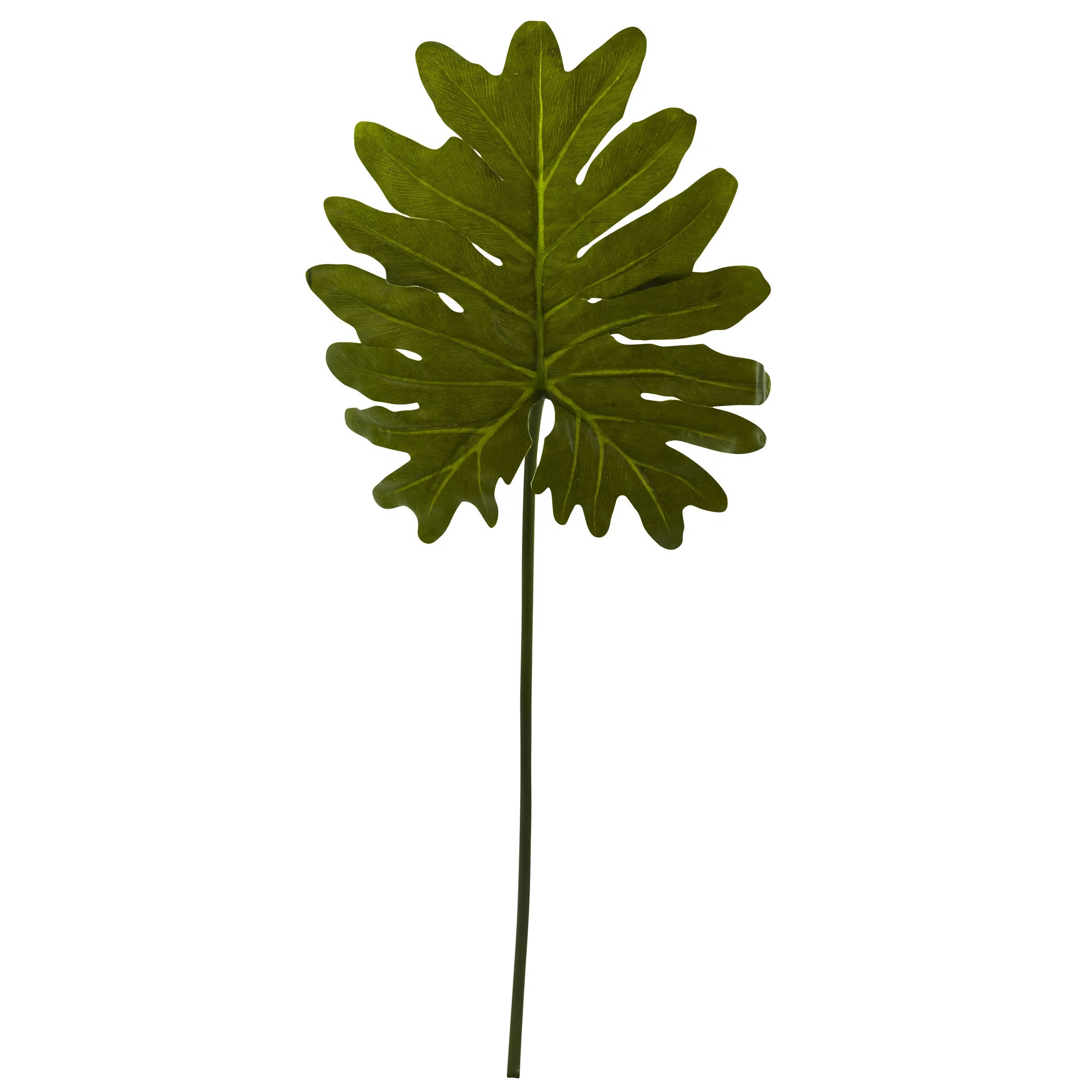 Charlton Home® Selloum Philo Single Leaf Stem Branch & Reviews | Wayfair | Wayfair North America