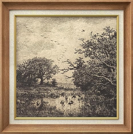 MUDECOR Premium Framed Wall Art Classic Etching of Birds and Trees Classic Vintage Illustrations ... | Amazon (US)