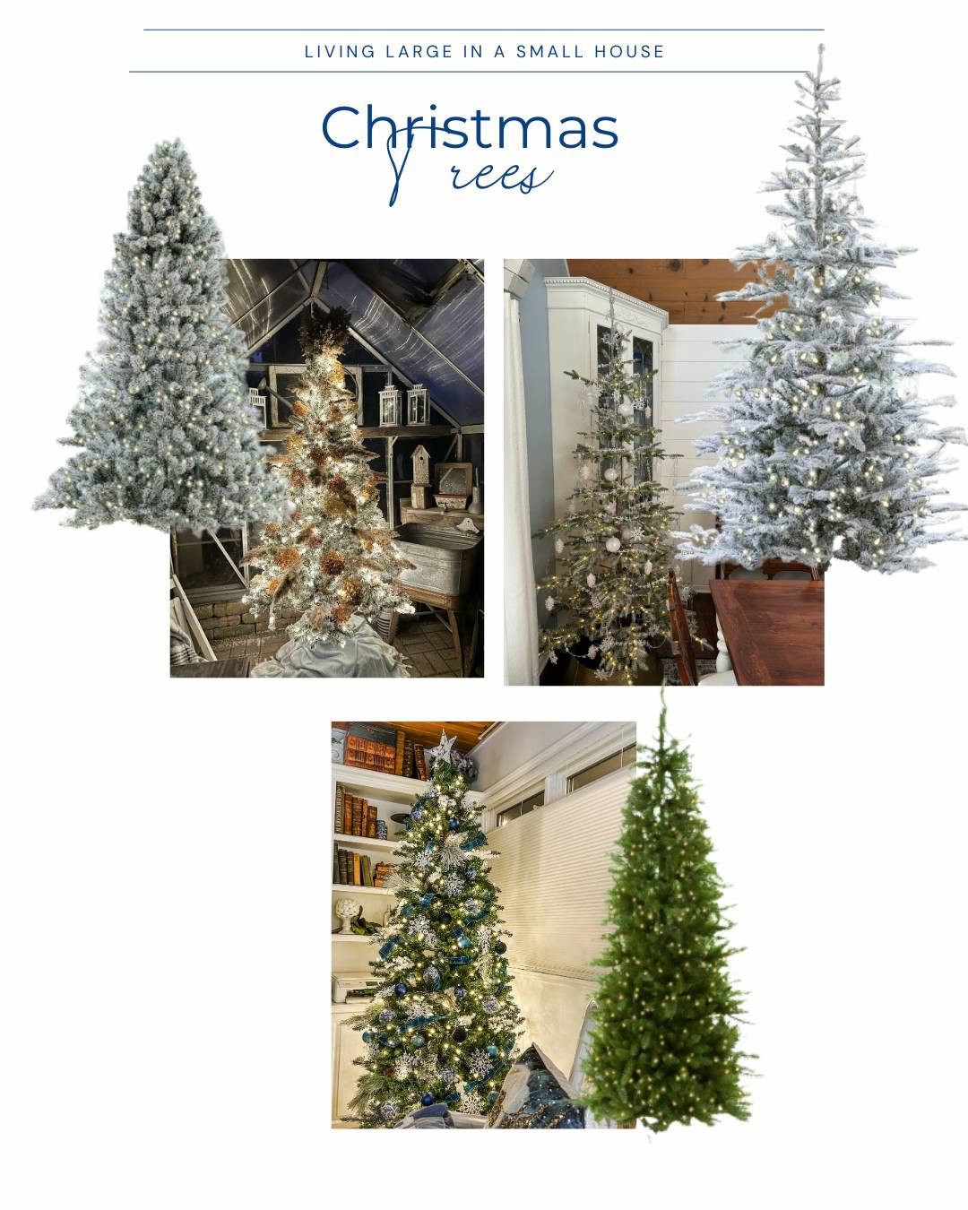I love my faux trees because Christmas starts in my house on November 1st. 

Three of my trees are from @kingofchristmas. 

I have a tree in my greenhouse, one in my French Country office, and one that was in my dining room but it's moving to the master bedroom this year.

The quality is amazing. I can set the tree up by myself and the lights always work!!!

#kingofchristmas #frenchblue #christmastree #fauxchristmastree  

 #LTKHoliday #LTKSeasonal #LTKHome