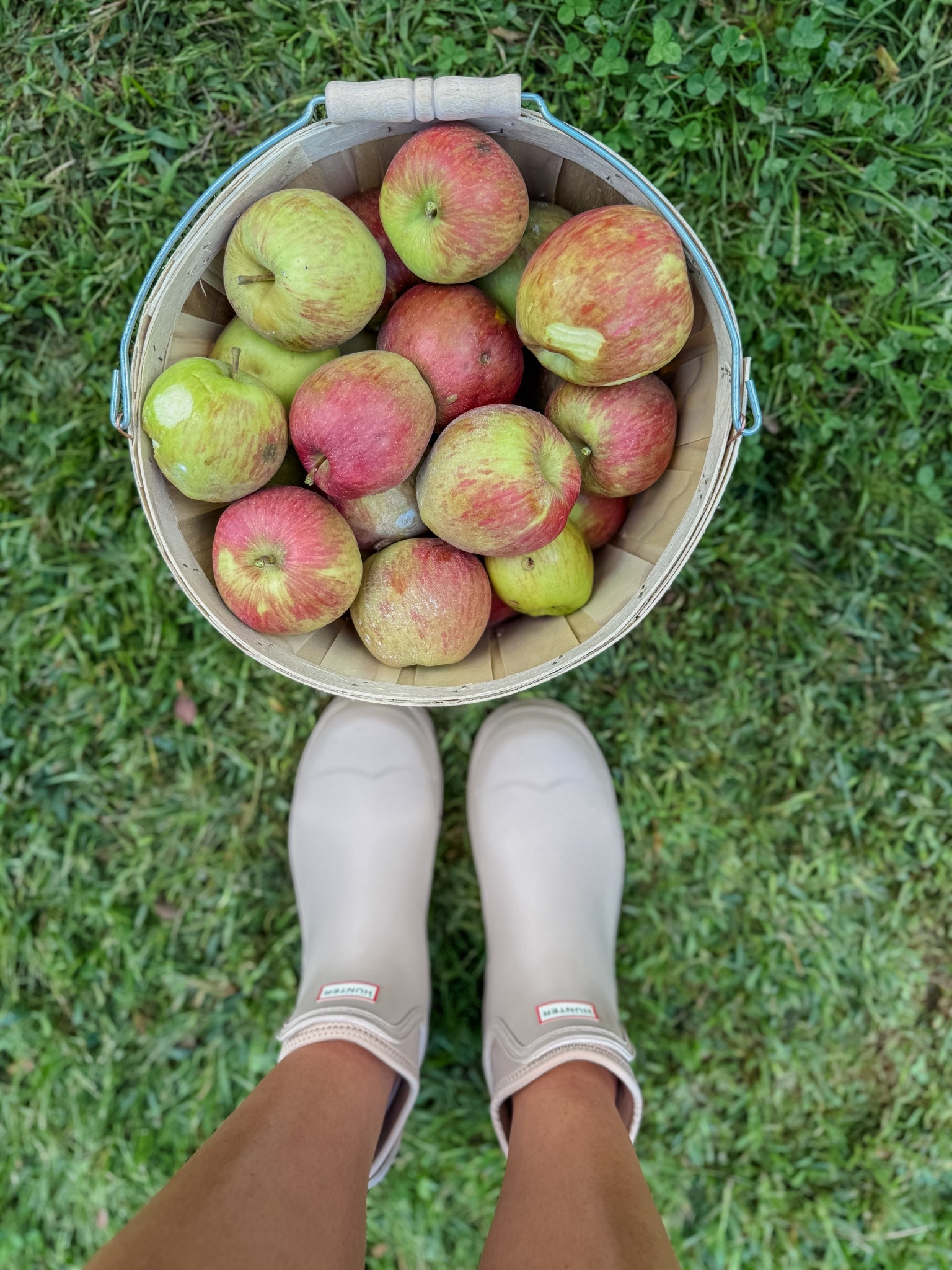 The best little ankle boots for fall and garden adventures! 

#LTKShoeCrush #LTKStyleTip