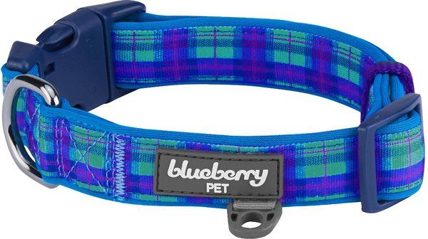 BLUEBERRY PET Soft & Comfy Padded Polyester Dog Collar, Hudson Blue, Medium: 14.5 to 20-in neck, ... | Chewy.com