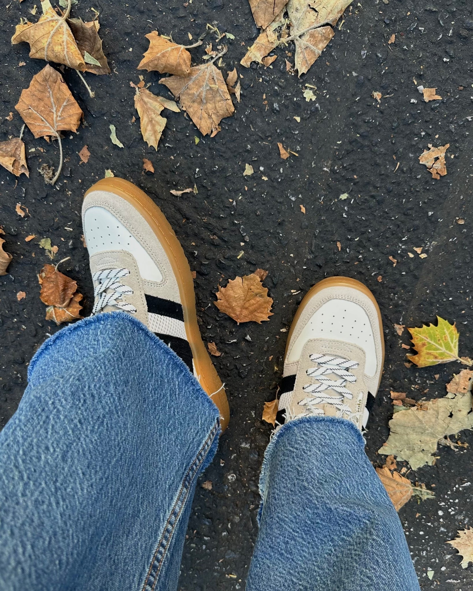 Elevated sneakers for fall 

Exact color I’m wearing is sold out, linked to similar styles in other colors 

Most likely to sell out everywhere! 

#LTKShoeCrush