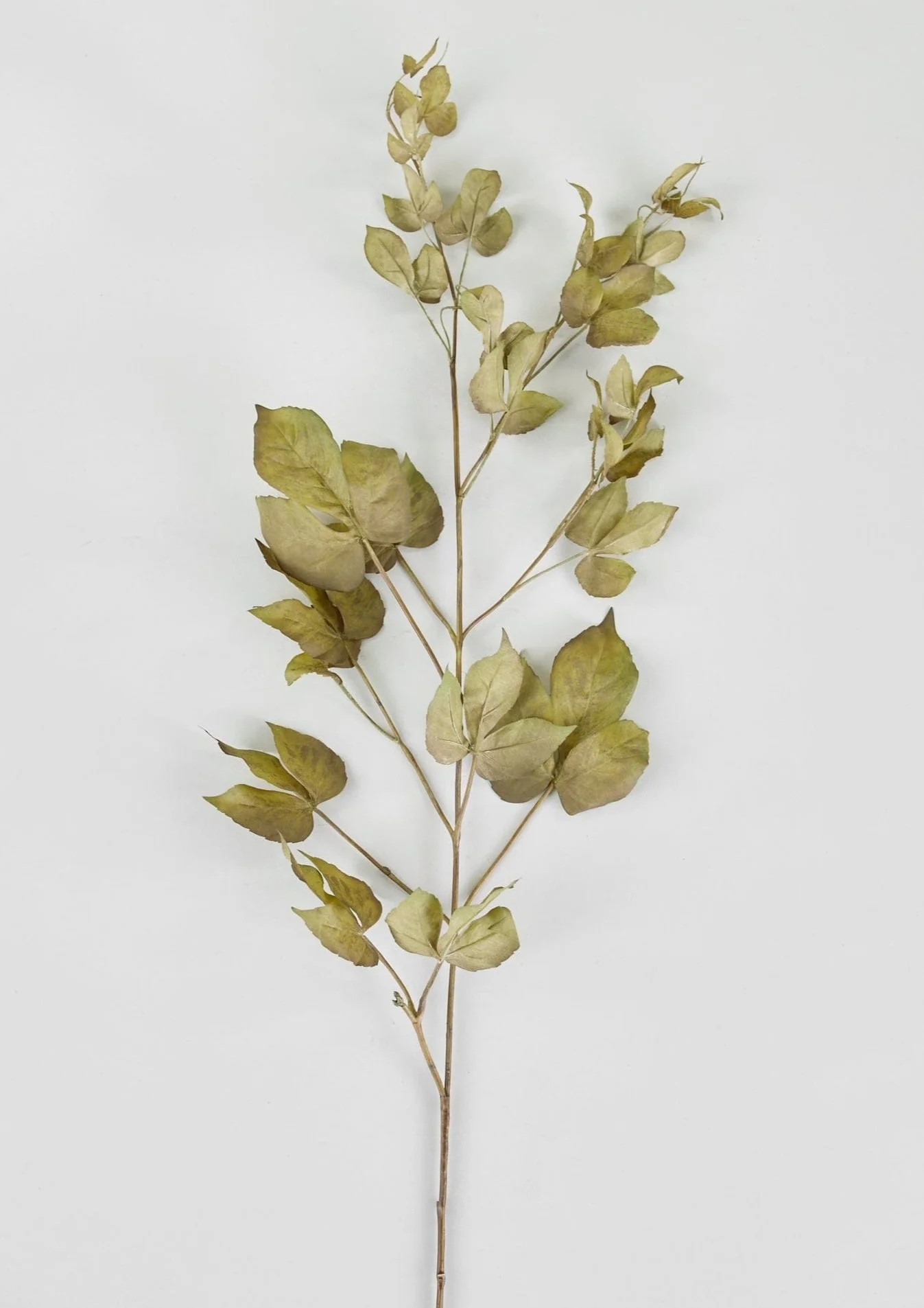 Faux Grape Ivy Branch in Green and Eggplant - 48" | Afloral