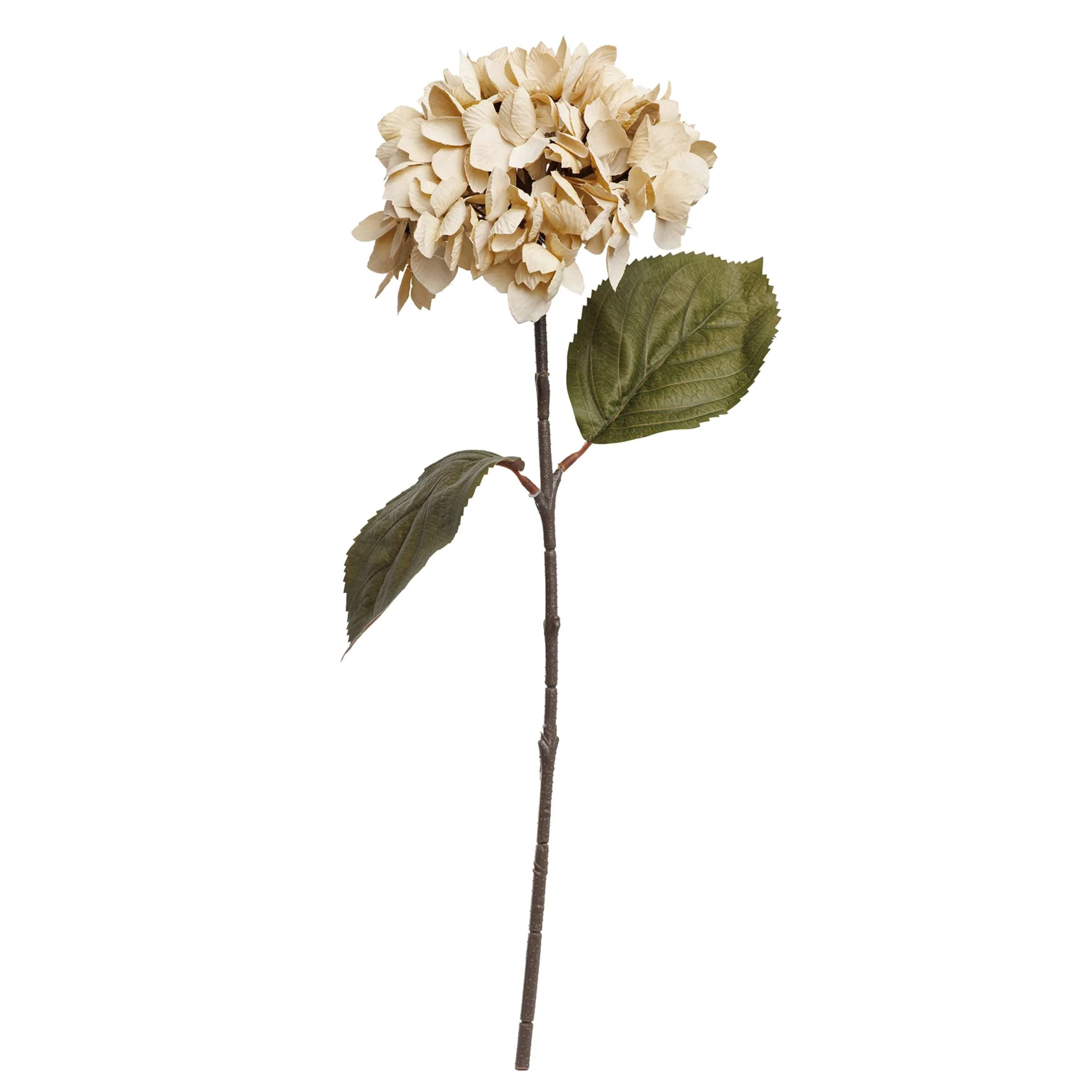 My Texas House Fall Faux Hydrangea Stem, Cream, 20" | Walmart (US)