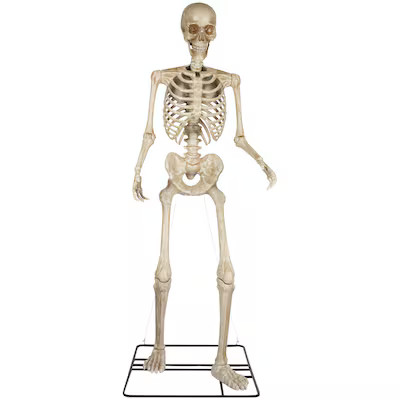 Haunted Living 10-ft Poseable Skeleton Decoration | Lowe's