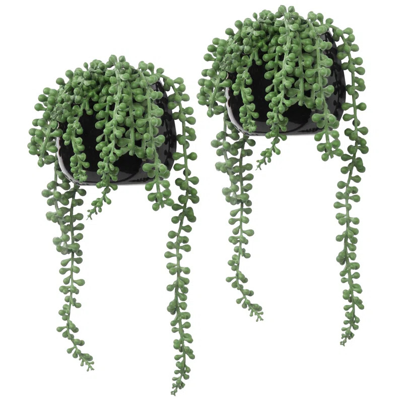 2 Artificial Succulent in Pot Set (Set of 2) | Wayfair North America