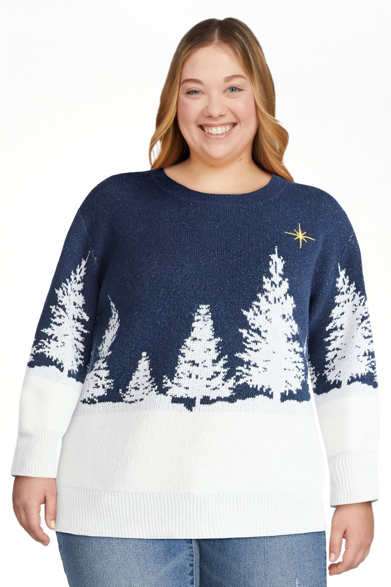 Holiday Time Women's and Women's Plus Pretty Christmas Sweater, Sizes XXS-3X | Walmart (US)