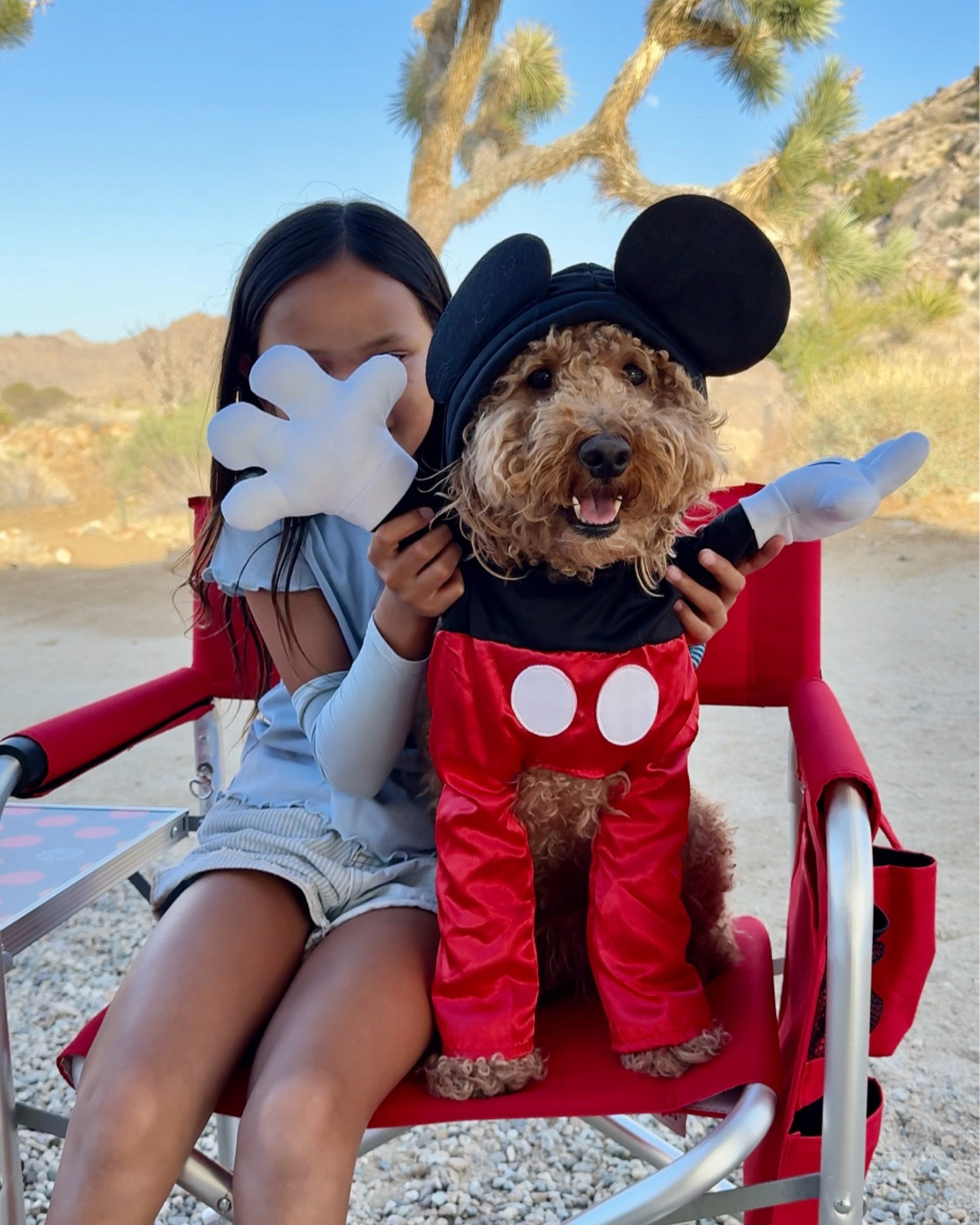 Cute Mickey Mouse dog costume! Our dog is wearing a size large, he’s a 24 lbs Goldendoodle. Seems comfortable, he didn’t try to take it off. Easy on and off. 

#LTKSeasonal #LTKFamily #LTKTravel