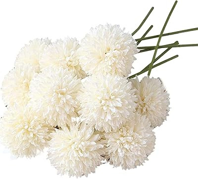 Spring Decor | Amazon (US)