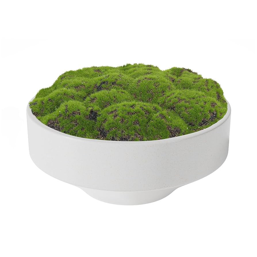 NAHARO New Moss Bowl, Handmade Ceramic Bowl. 11" Artificial Moss Centerpiece for Home Decoration,... | Amazon (US)