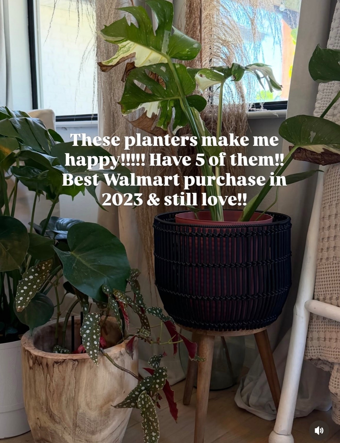 Best planters for inside and outside!! 