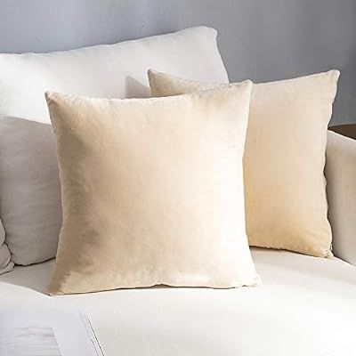 NANPIPER Set of 2 Velvet Soft Decorative Cushion Throw Pillow Covers 20x20 Inch/50x50 cm Cozy Sol... | Amazon (US)
