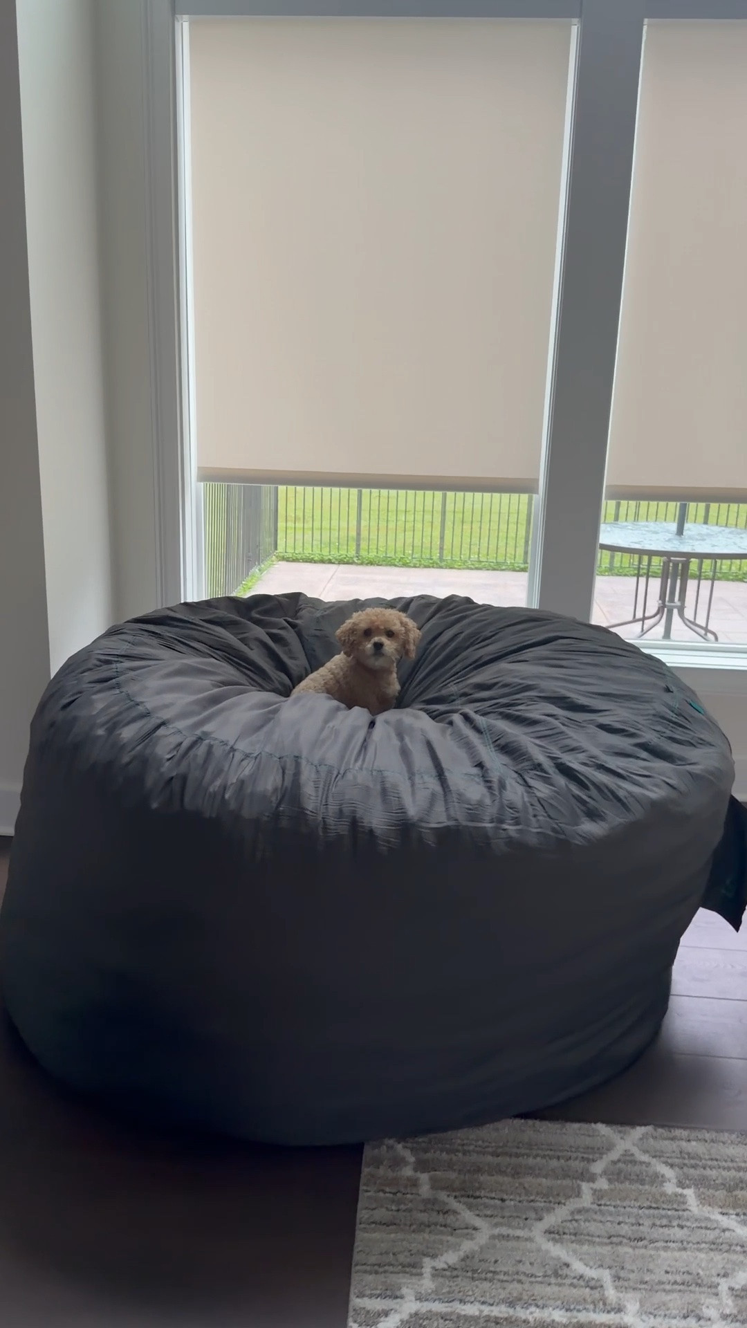 Our new @lovesac SuperSac is in the “fluffing” stages! It takes a few days for the Durafoam to expand to its full potential! We are so excited!! 40% off right now!!
