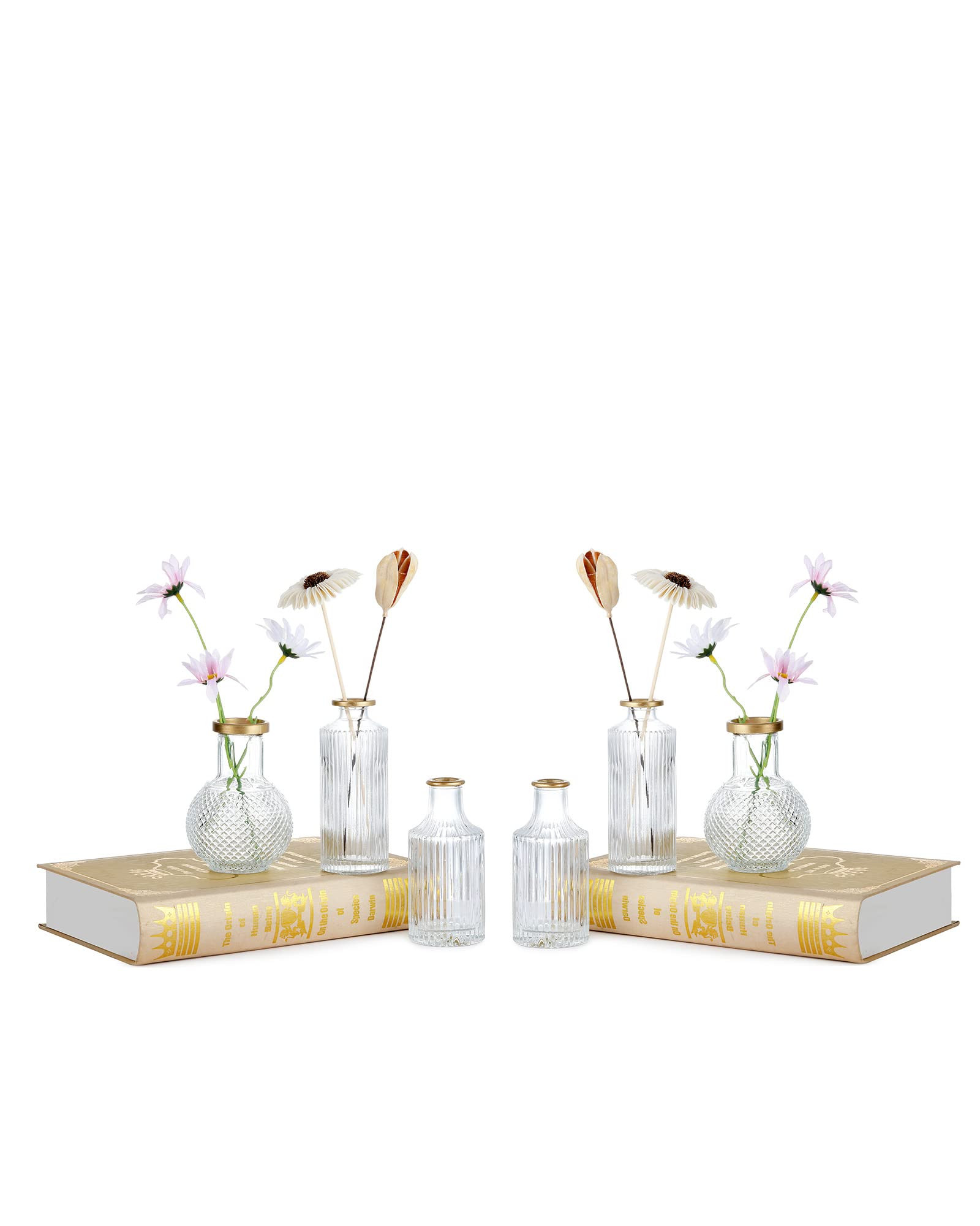 DN DECONATION 6Pcs Gold Rim Glass Bud Vases in Bulk, Gold Small Stem Bud Vase for Flowers Bulk Gl... | Amazon (US)