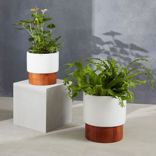 Wood Base Planters | West Elm (US)