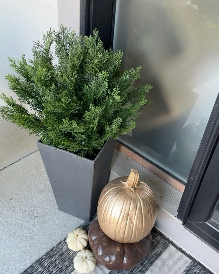 No green thumb? No problem 😄 I have these at my house and at our warehouse. Highly recommend. Don’t turn colors in sunlight. Look real and have held up well 

#LTKHome