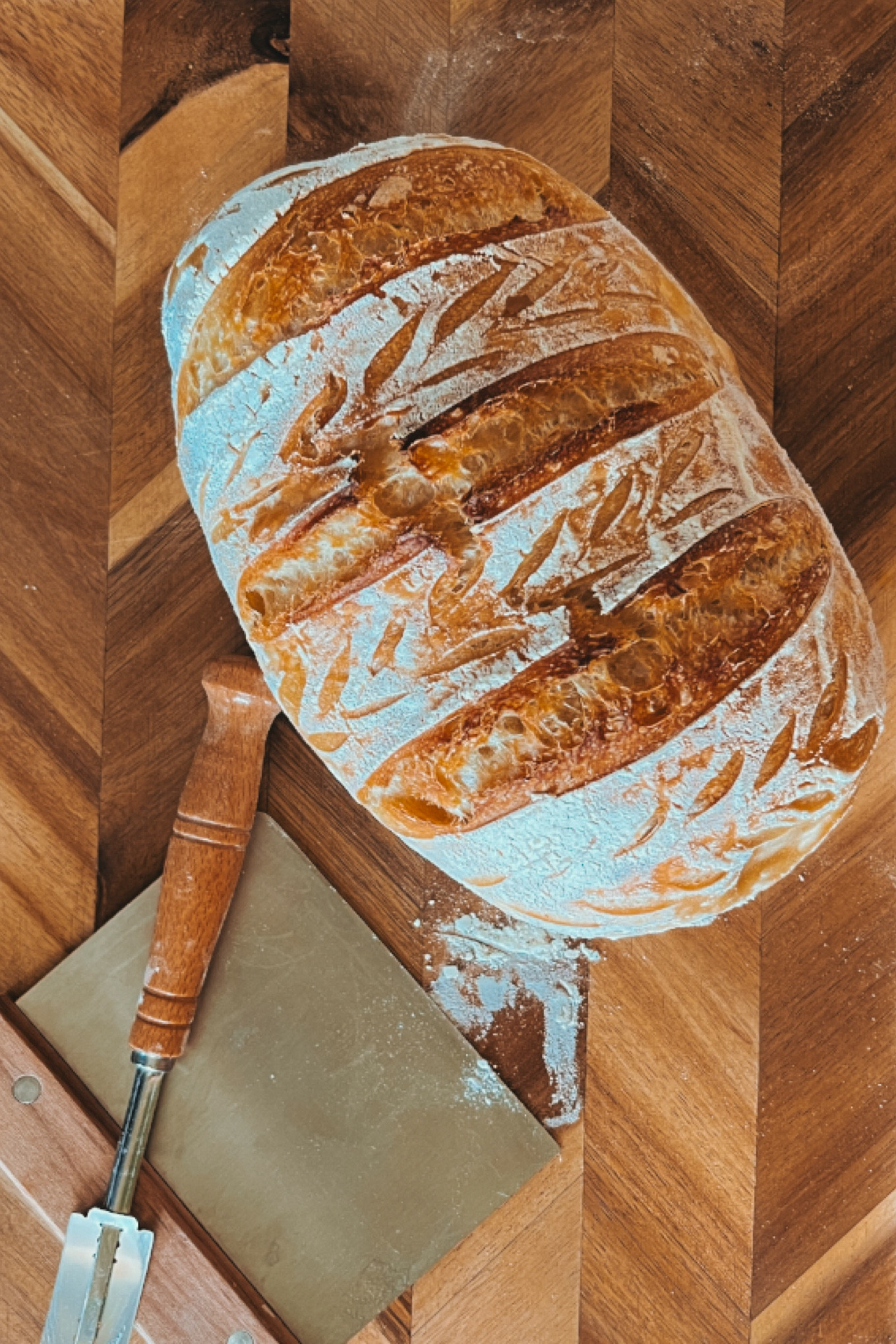 Sourdough Starter Kit 

#LTKhome #LTKsalealert #LTKover40