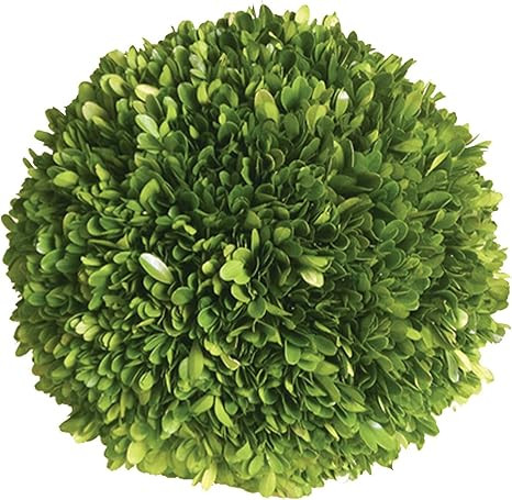 Mills Floral Company Boxwood Ball 6" | Amazon (US)