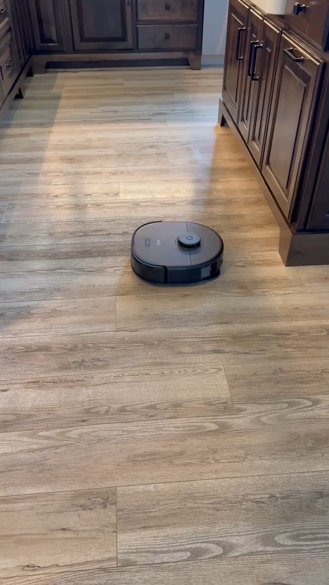 My favorite robot + mop vacuum