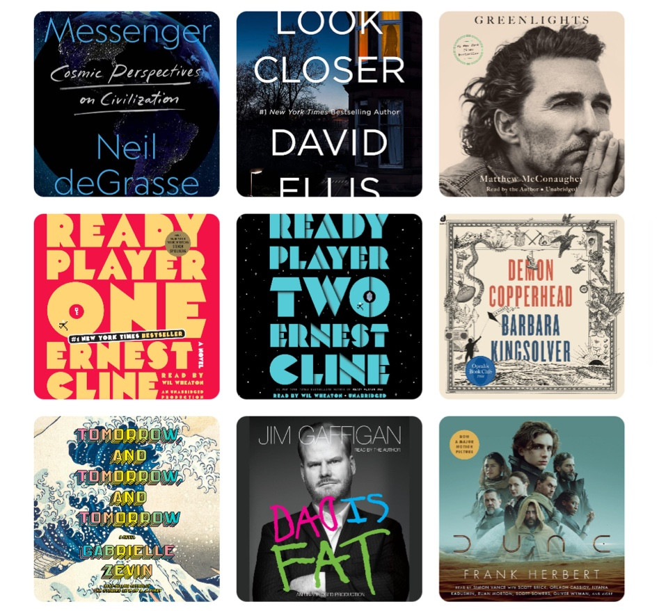 Books, audiobook, Father’s Day gifts, Father’s Day gift ideas, father’s day gifts for readers, book gifts for Father’s Day

#LTKGiftGuide #LTKmens #LTKunder50