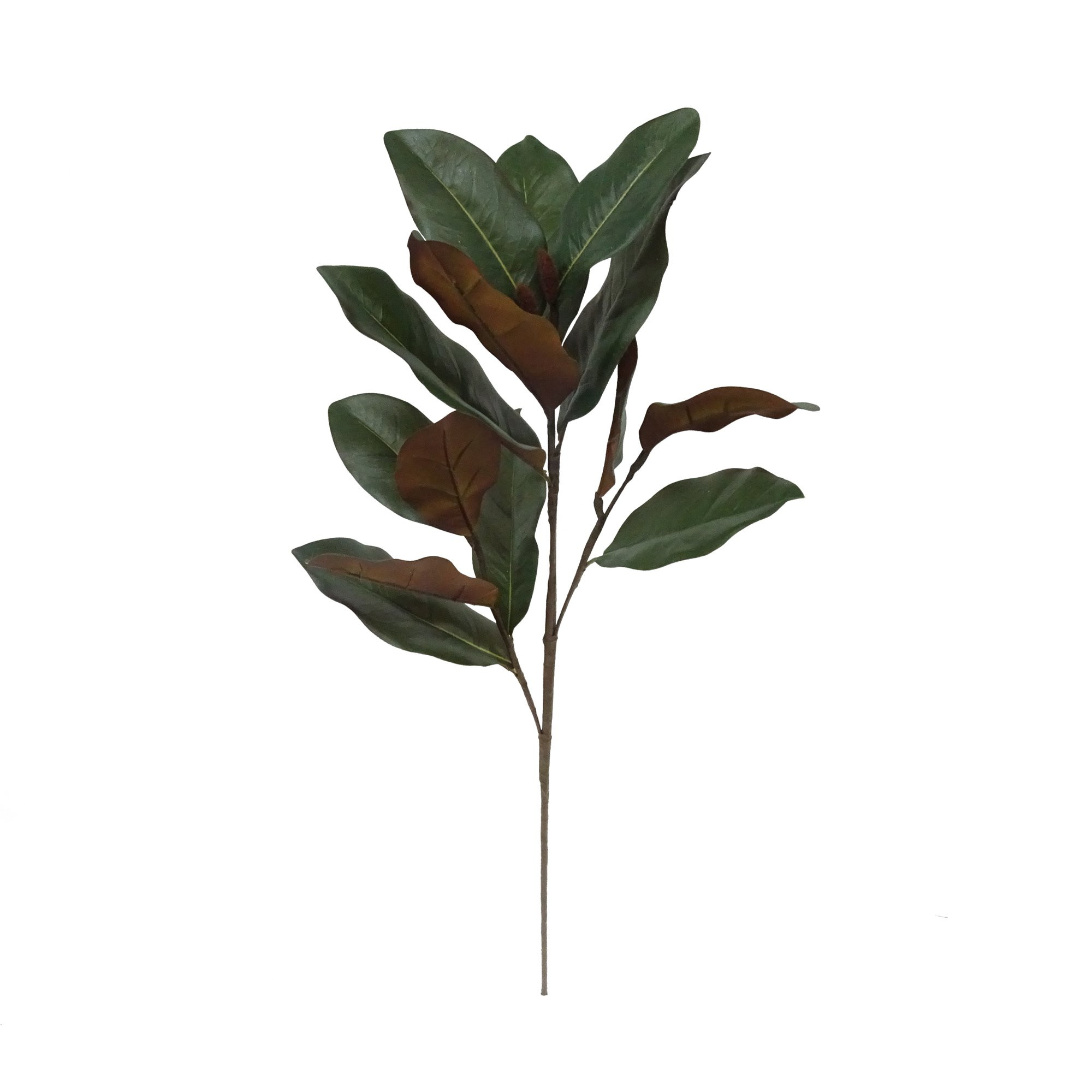 Mainstays Magnolia Leave Stem | Walmart (US)