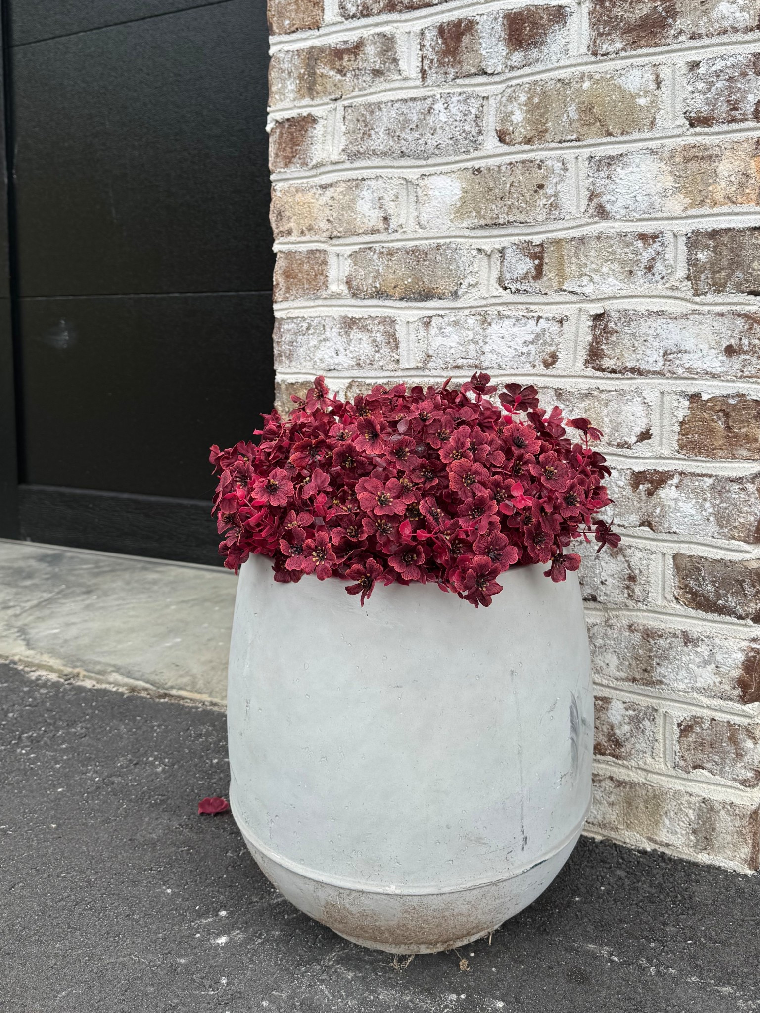 Couldn’t find the pot online but I got it at Lowe’s and linked similar!! Also linked my outfit from my video :)