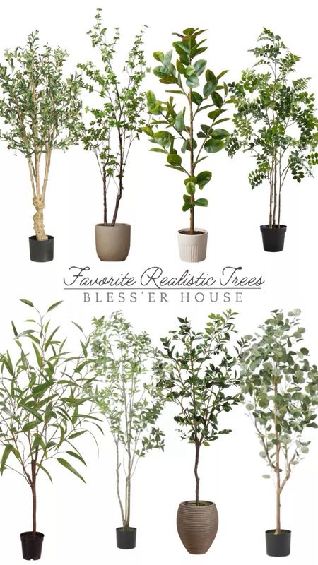 Some of our favorite realistic trees that look real than most! 

#RealisticTree #FakeTree #EucalyptusTree #Greenery #SpringTrees #PotteryBarn #Westelm #fauxTree 



#LTKSeasonal