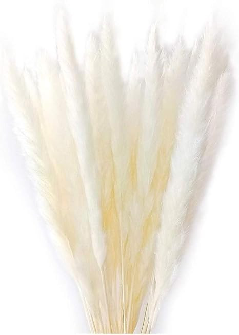 MLSG 60 Stems Natural Dry Flowers Small Pampas Grass, Phragmites Communis, Dried Flowers Bouquet ... | Amazon (US)