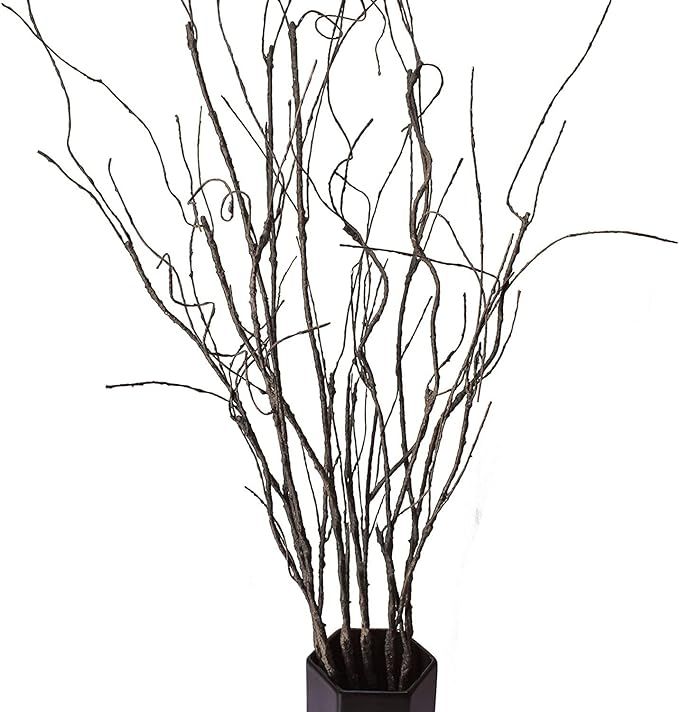 5PCS Artificial Curly Willow Branches, Decorative Dry Twigs, 30.7 Inches Fake Bendable Sticks Vin... | Amazon (US)