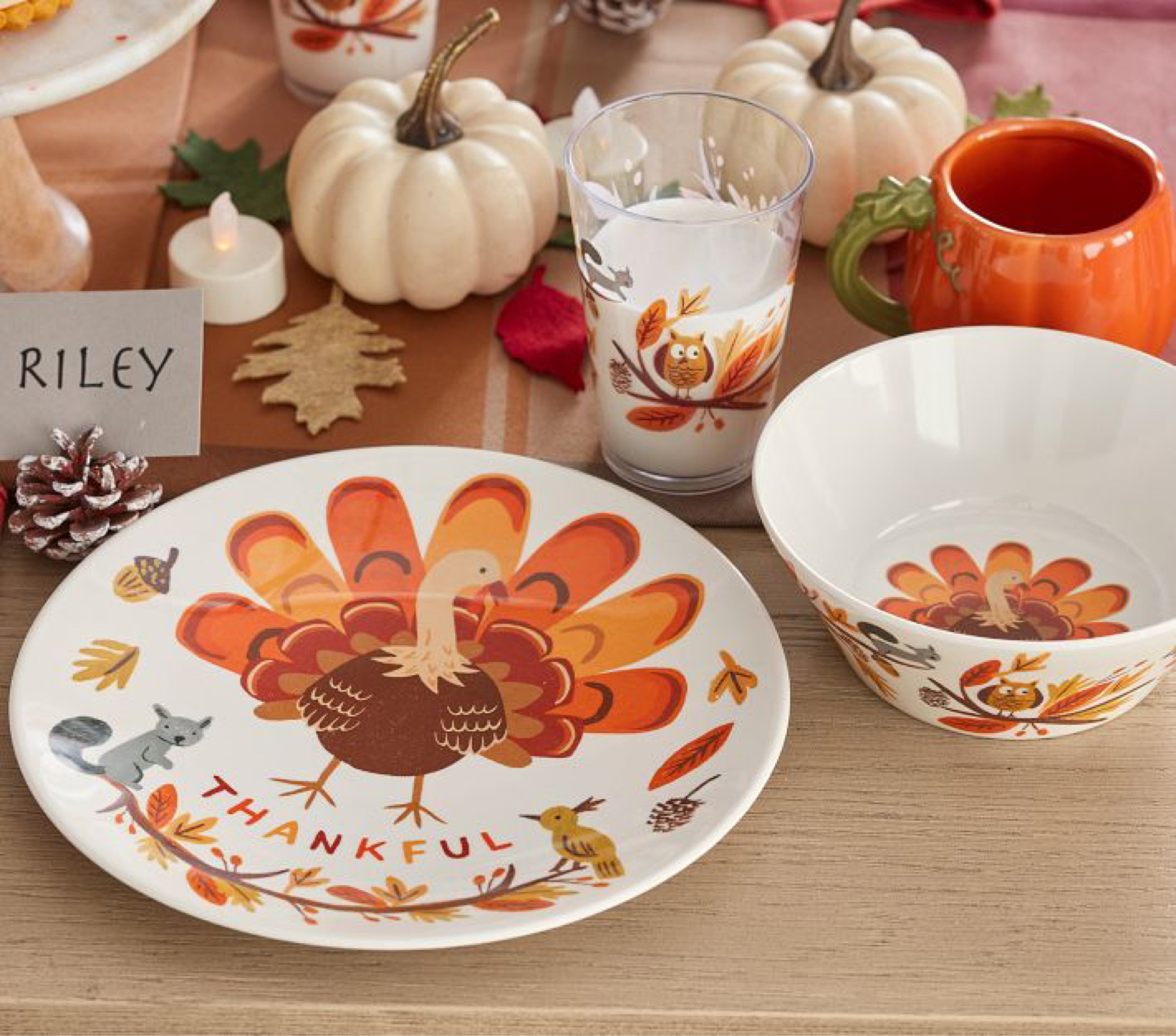 These “Thankful” plates, bowls and cups are a must-have if you want the most adorable kids table this Thanksgiving. They are crafted of melamine so they can resist an accidental drop and won’t scratch or stain. All the kids (and adults) will adore the precious turkey and woodland animals artwork.

#thanksgiving #dinnerware #kidsfood

#LTKSeasonal #LTKHoliday #LTKhome