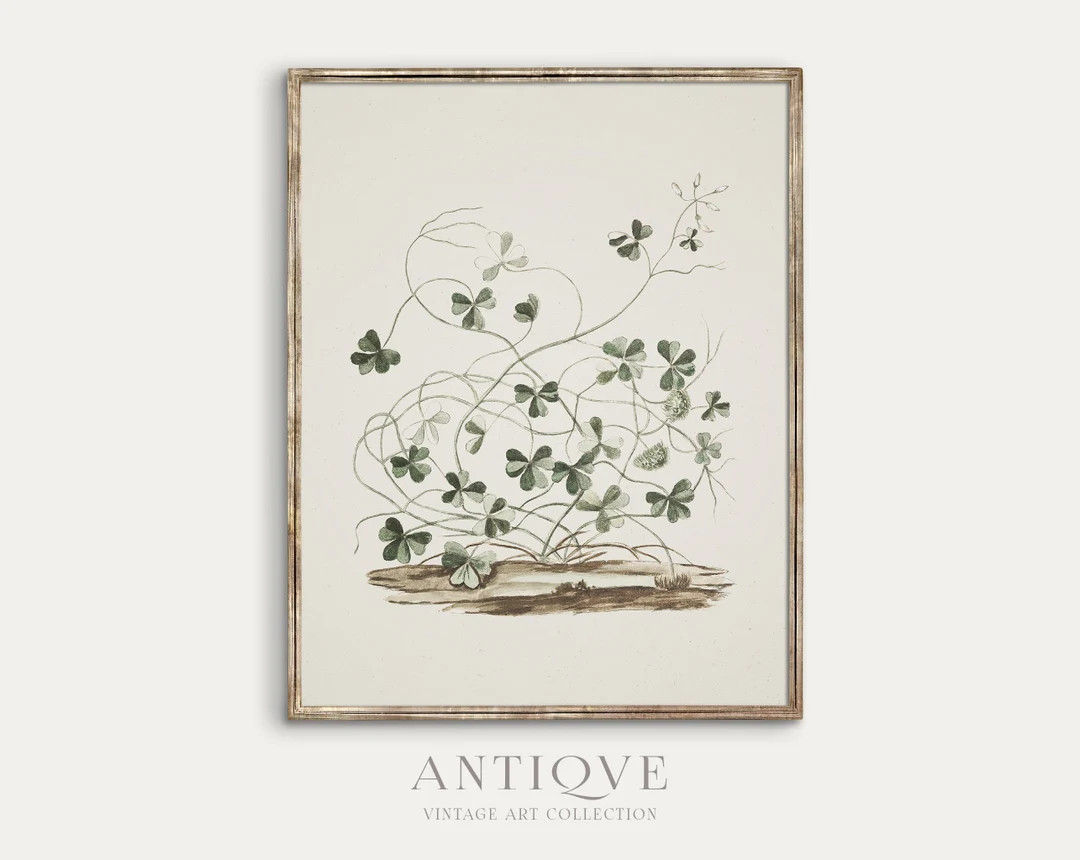 Vintage Shamrock Print Irish Home Decor Digital Download 580 - Etsy | Etsy (US)