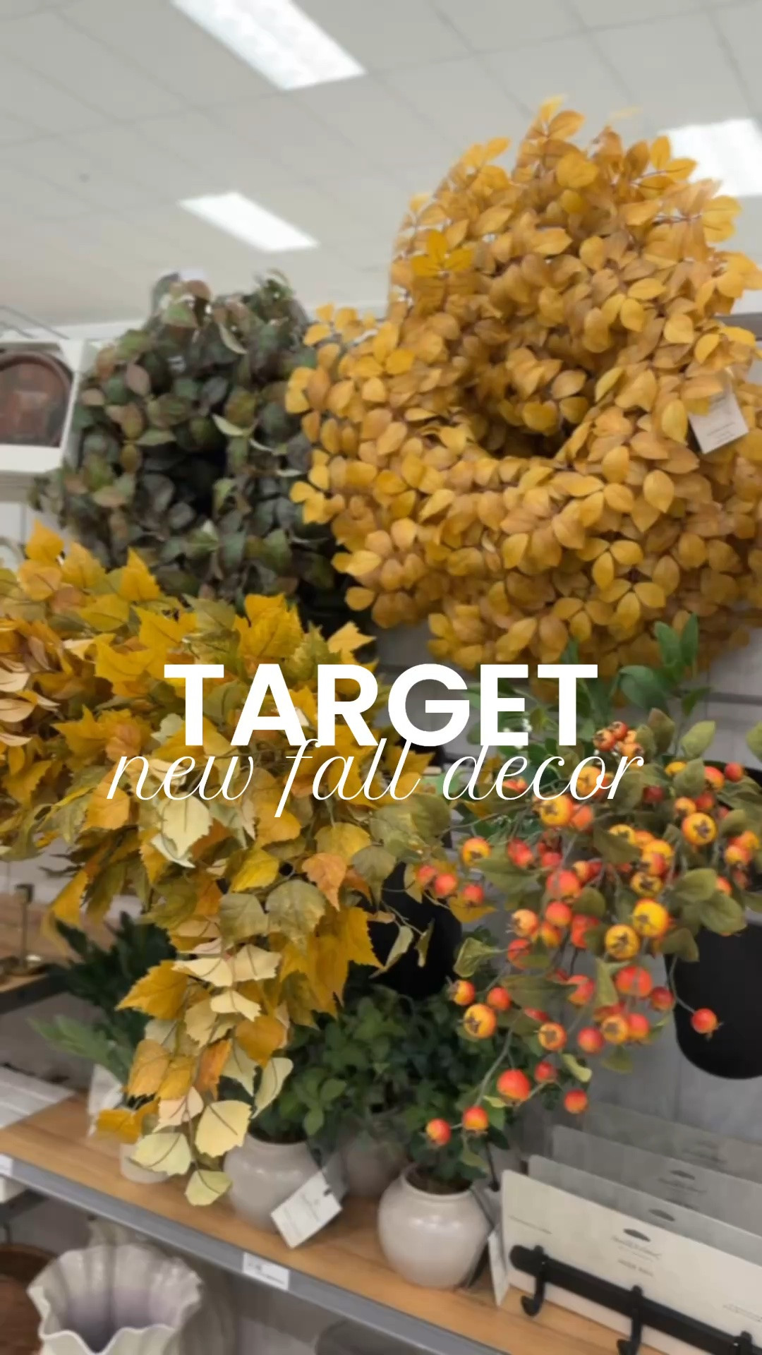 Target just released their 2026 Fall Decor!! So many great pieces this year! 

New arrivals, finds under 100, finds under 50, home decor, fall, Elaina Zinke

#LTKSeasonal #LTKHome