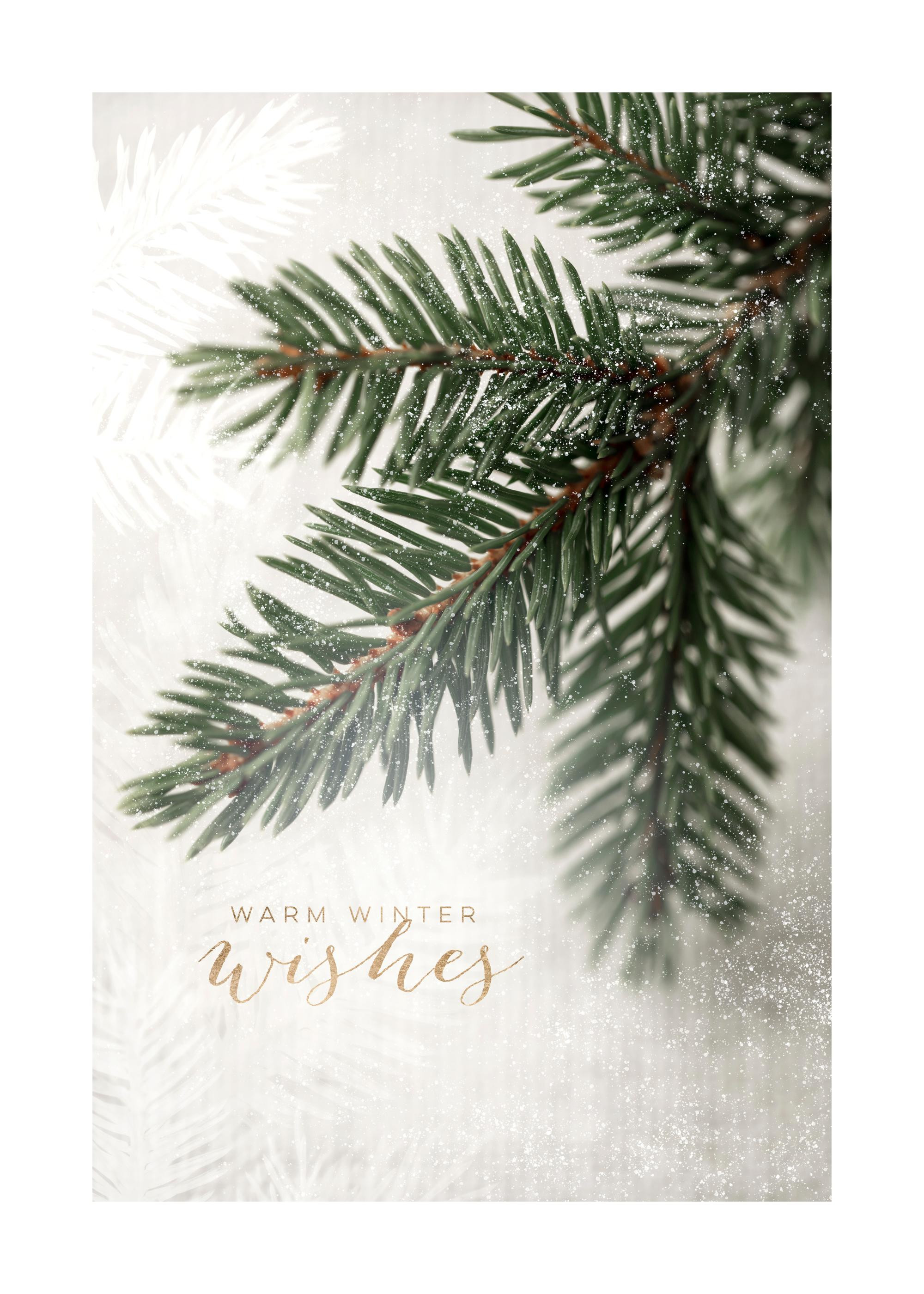 Spruce Branch Print | Desenio