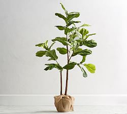 Faux Fiddle Leaf Fig Trees | Pottery Barn (US)
