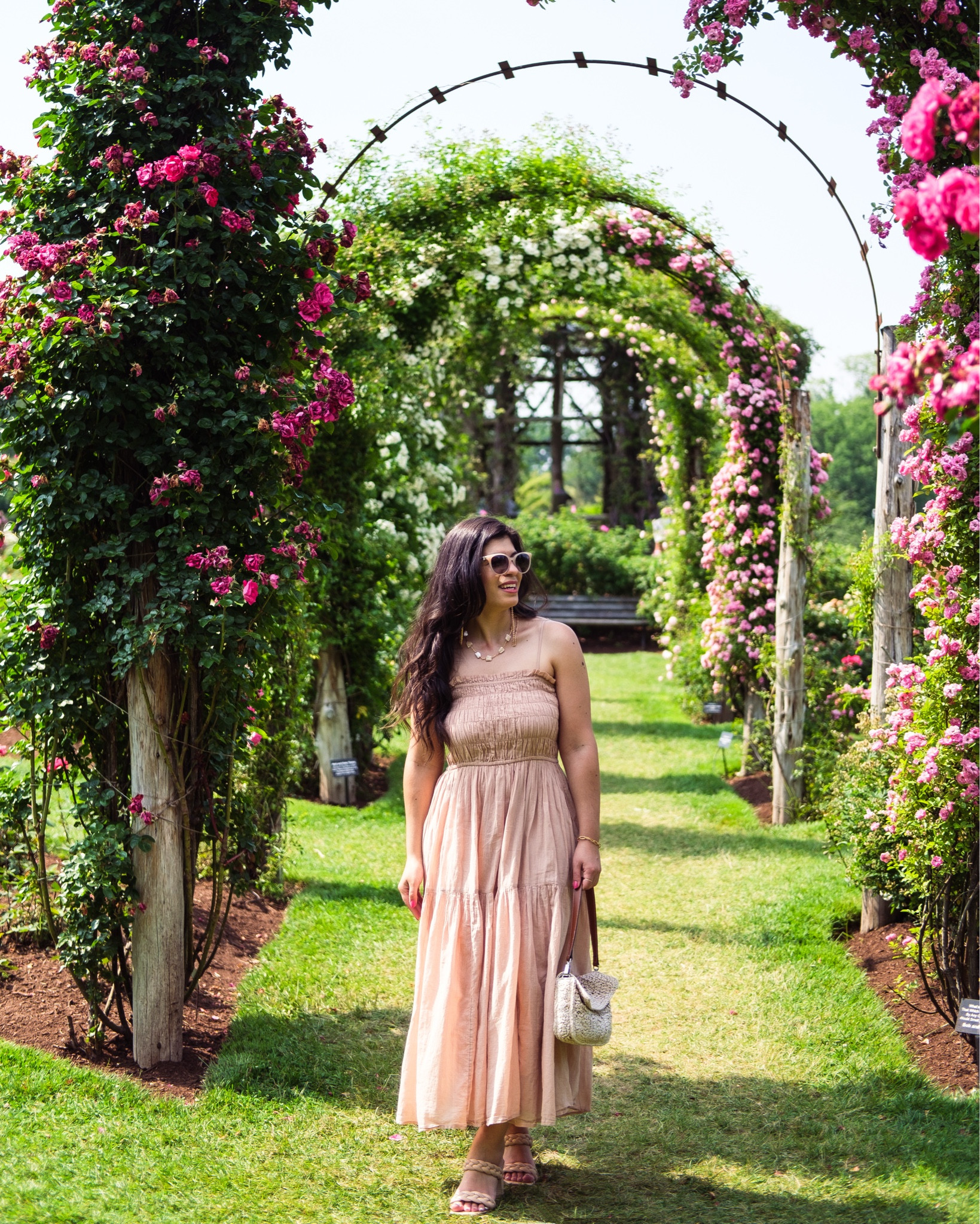 Summer in the rose garden 