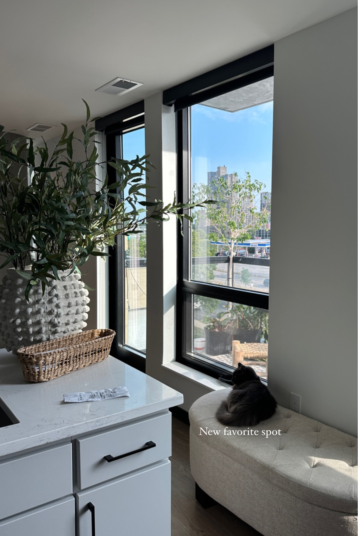 Size Large Pot
10 faux stems

#LTKhome #LTKunder100 #LTKstyletip