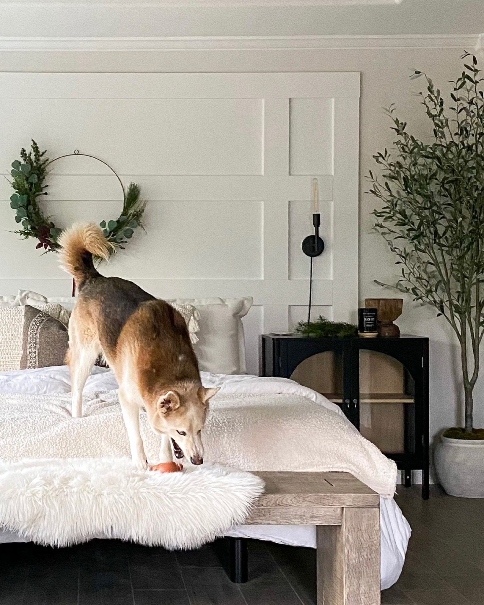 My super tall beautiful olive tree is 40% off today only! Comes in a pretty white pot with moss 😍 Wreath also 40% off, today only! 

Olive tree. Faux tree. Potted tree. Olive tree in pot.

#target #targethome 

#LTKhome #LTKsalealert #LTKHoliday