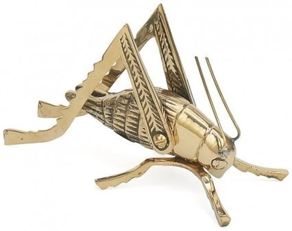 Solid Brass Cricket ~ Fireplace Crickets on The Hearth | Amazon (US)