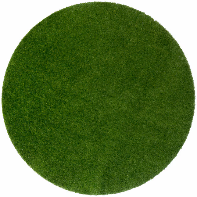 Joy Carpets Kid Essentials 8 x 8 (ft) Tufted Nylon Green Round Indoor/Outdoor Solid Area rug | Lowe's