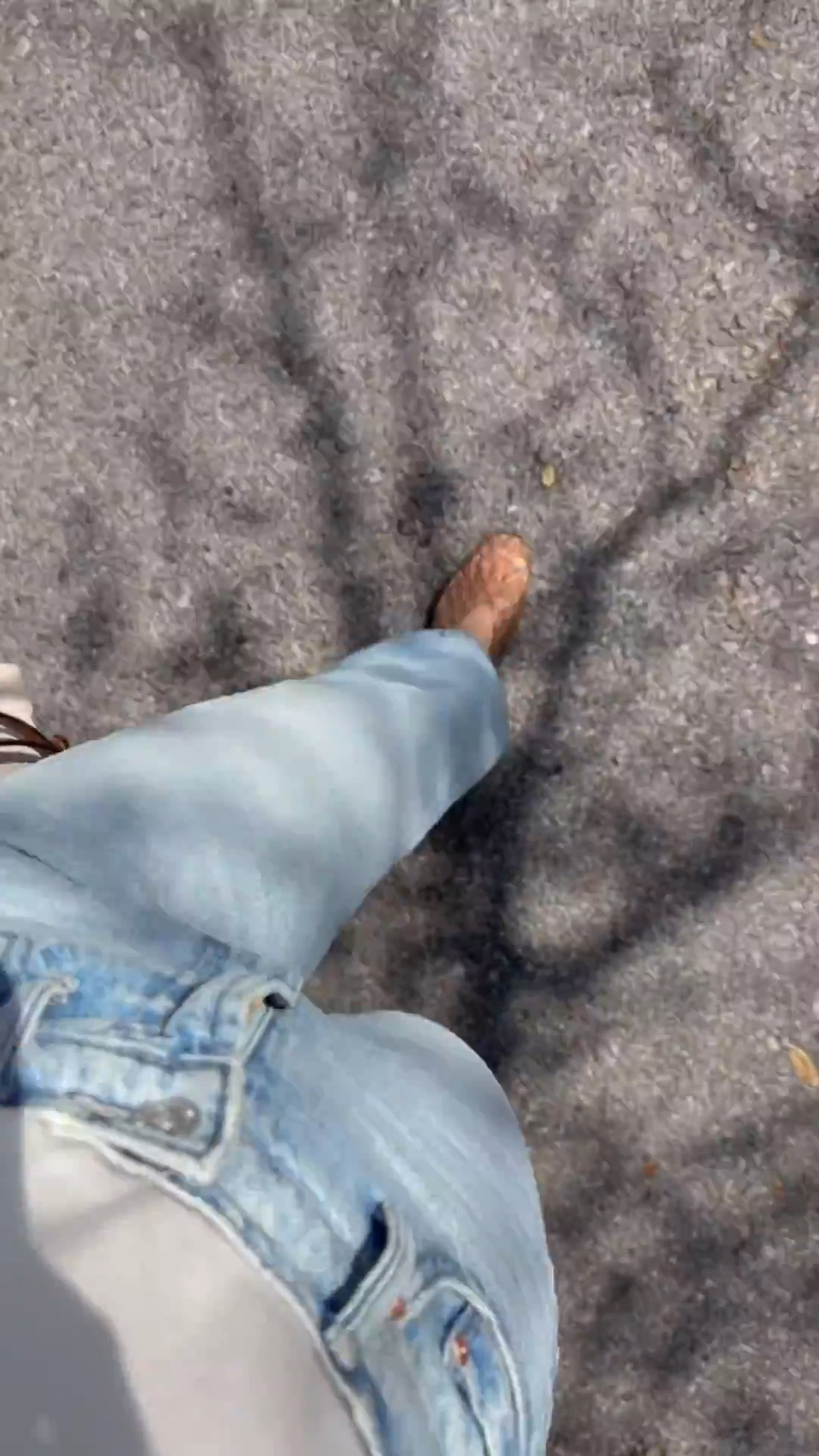 Size 24 jeans (technically a size down for me) SO comfy! 



#LTKSeasonal #LTKPetite #LTKootd