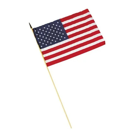 Cloth American Flags (18""X12"") - Party Decor - 12 Pieces | Walmart (US)
