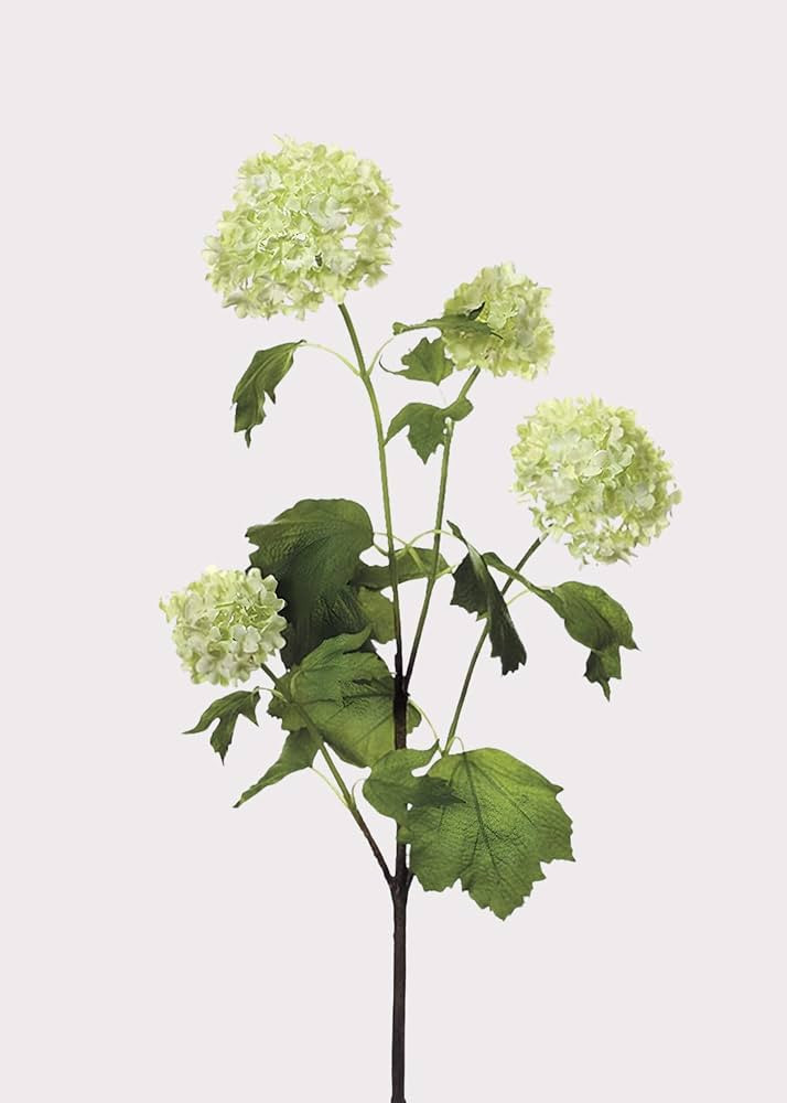 Green Cream Artificial Snowball Flowers - 24" | Amazon (US)