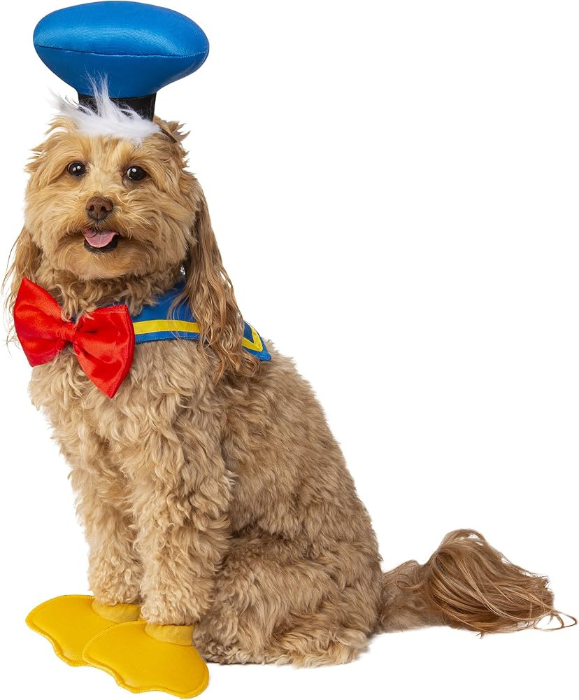 Rubie's Disney: Mickey & Friends Pet Costume Accessory, Donald Duck, Small/Medium, 200169_S-M | Amazon (US)