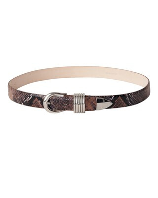 DEHANCHE Hollyhock Snake Belt in Venetian Umber & Silver | FWRD | FWRD 
