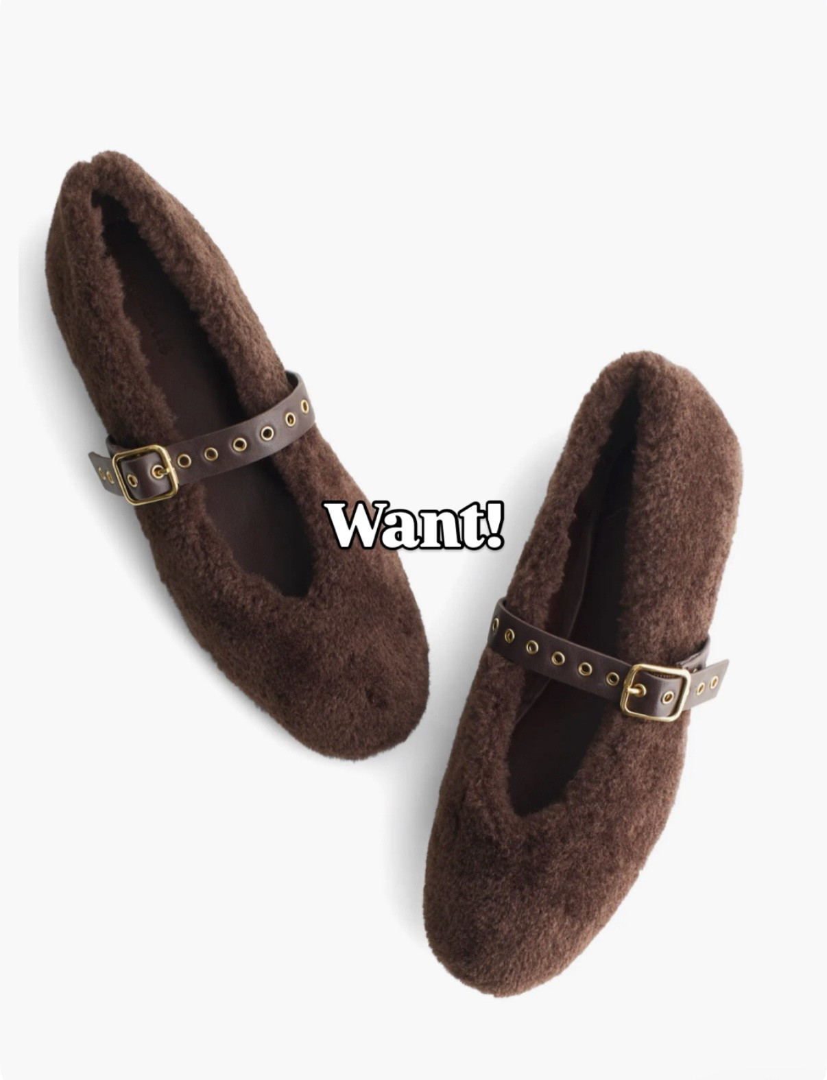 Cozy gifts 
Gift guide 

#LTKFindsUnder100 #LTKFindsUnder50 #LTKGiftGuide