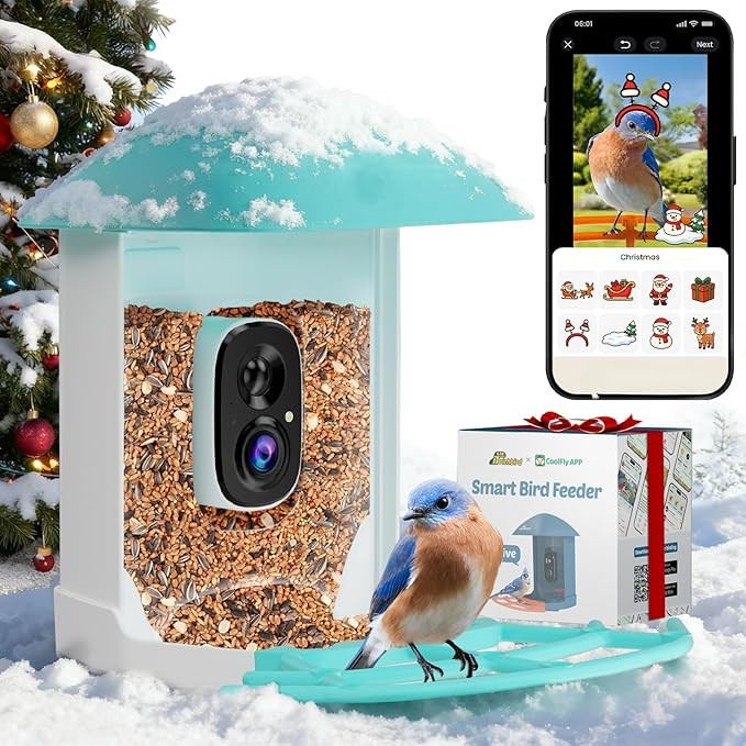 Bird Feeder with Camera, Smart Bird House with Cam for Outside, 2K HD Auto Record Video, AI Ident... | Amazon (US)