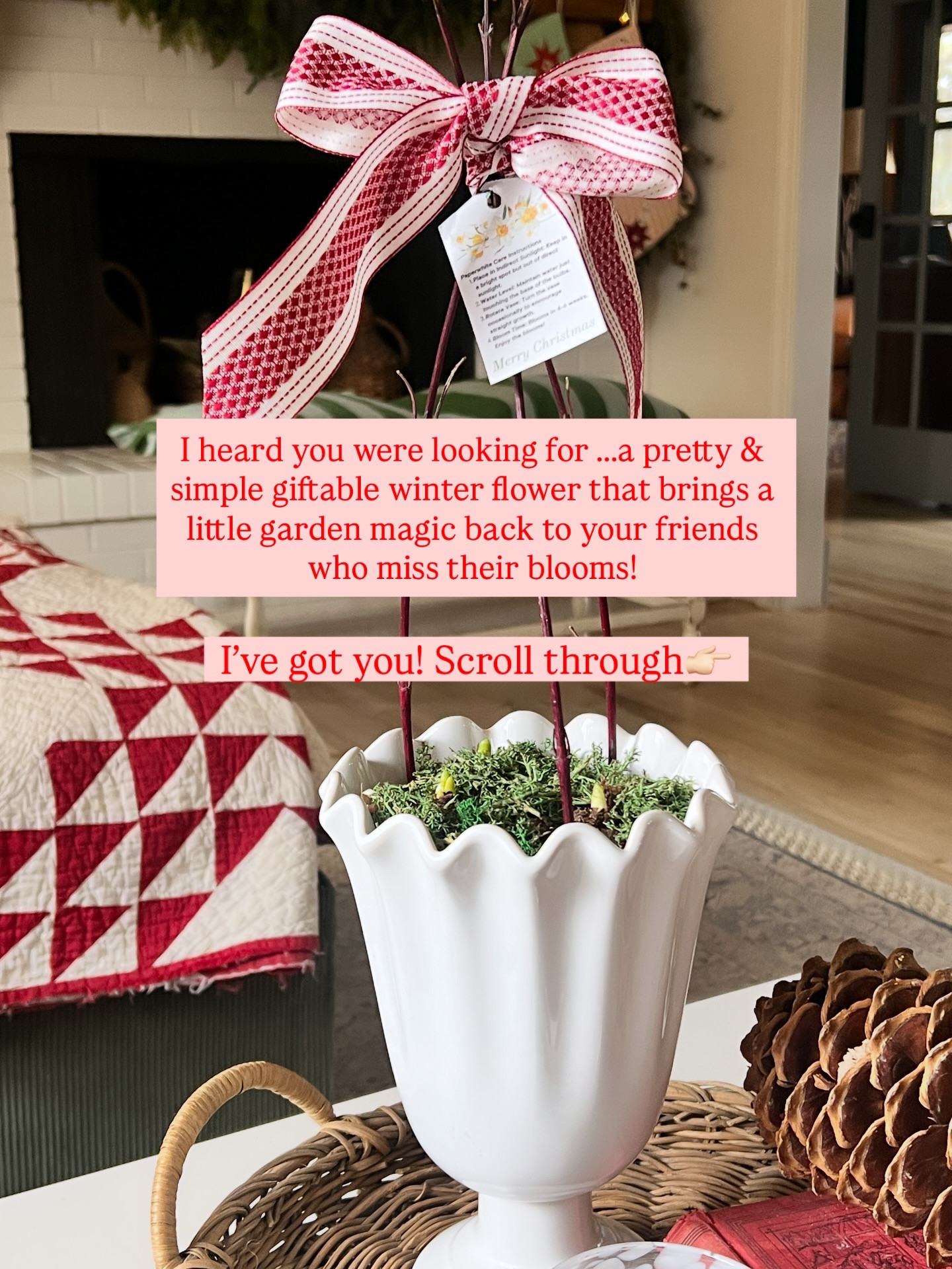 These sweet paperwhites are the easiest little living gift — they grow indoors (in just a few weeks) and look so beautiful dressed up in a pretty vase with moss, ribbon, and the free printable gift tags I made for you. 🤍 All items from @walmart  too!

They’re the perfect lazy-girl gift for
• friends missing their summer gardens
• neighbors
• teachers
• hostesses
• or anyone who could use a little winter cheer

Want the free printable gift tags?
👇 COMMENT “tags” and I’ll send you the link! 👇

And you can see the whole DIY step-by-step along with sources on the blog (link in stories). I can’t wait to see your versions — they make the sweetest gifts that keep on growing. 🌿✨

What do you think?
https://www.thetatteredpew.com/diy-paperwhite-hostess-gift-with-free-printable-tags/ 

@walmartcreator 

#lazygirlsgardenclub #paperwhites #winterflowers #hostessgiftideas #diygifts #printabletags #gardeninspiredgifts